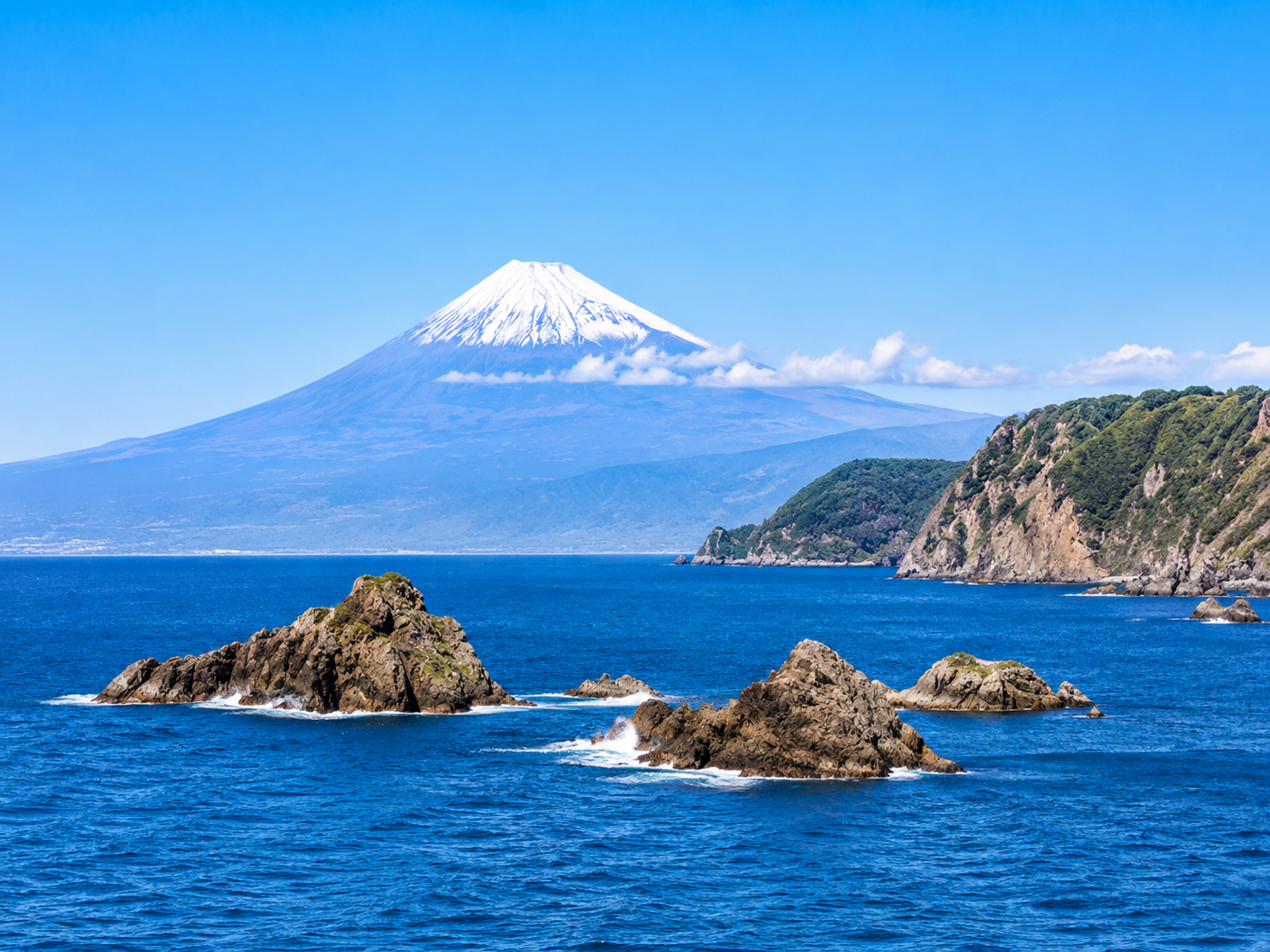 Izu Peninsula Mt Fuji coastline