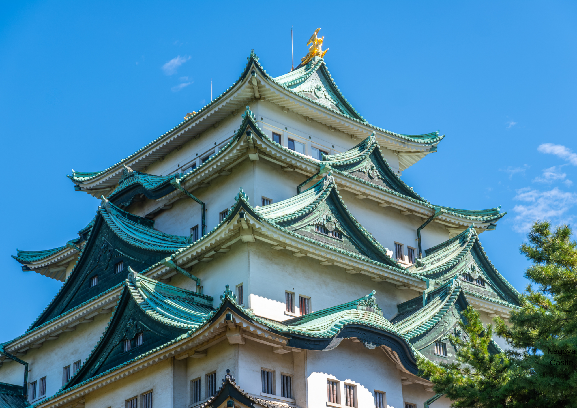Nagoya Castle Japan