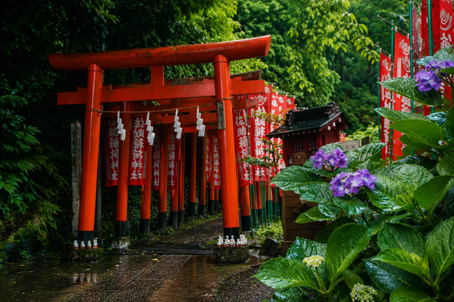 ⑥ Sasuke Inari Shrine